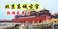 巨大阴蒂video中国北京-东城古宫旅游风景区